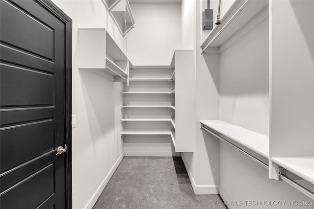 walk in closet featuring light carpet