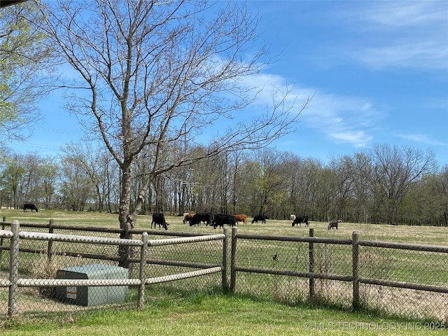 view of yard featuring a rural view and fence