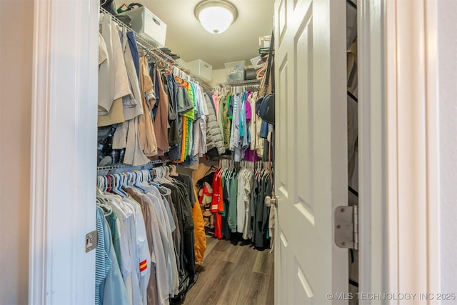 spacious closet featuring wood finished floors