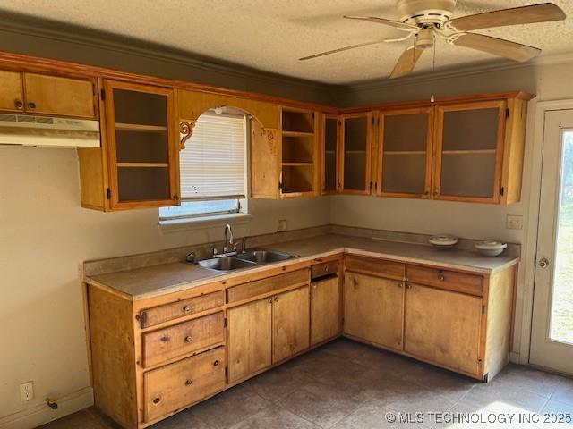 kitchen featuring under cabinet range hood, light countertops, a sink, and a ceiling fan