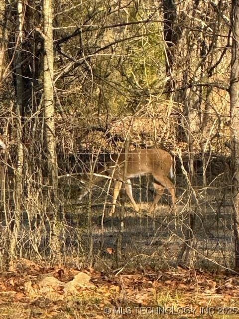 415347 E 1912th Rd, Antlers, OK 74523 - view of nature