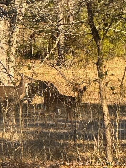 415347 E 1912th Rd, Antlers, OK 74523 - view of landscape