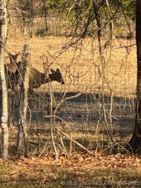 415347 E 1912th Rd, Antlers, OK 74523 - view of local wilderness