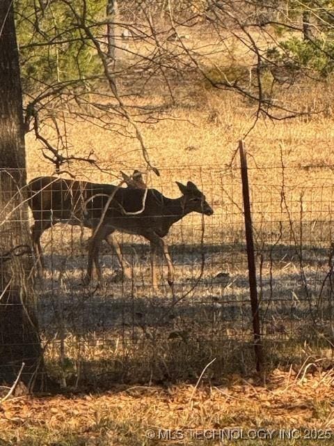 415347 E 1912th Rd, Antlers, OK 74523 - view of local wilderness
