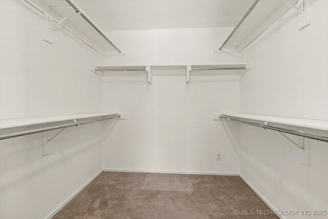 spacious closet featuring carpet