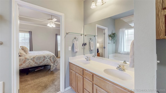 bathroom with a sink, a healthy amount of sunlight, and ensuite bathroom