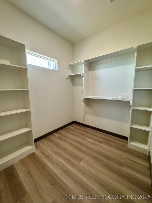 spacious closet featuring wood finished floors