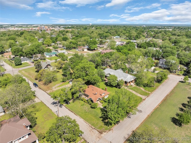 bird's eye view