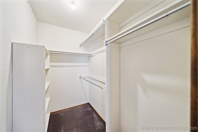 spacious closet with carpet