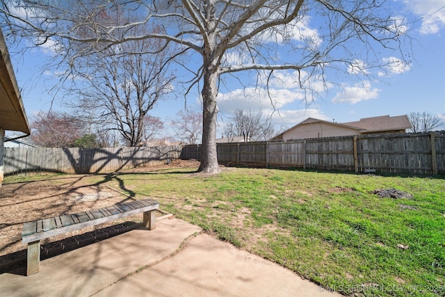 view of yard featuring a fenced backyard