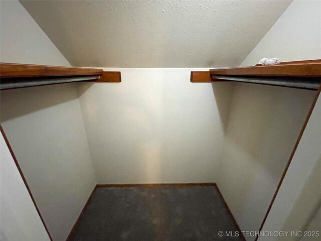 spacious closet featuring carpet floors and vaulted ceiling