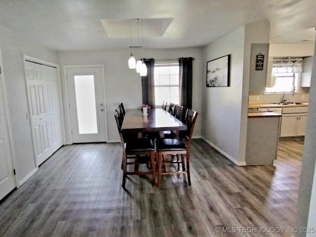 dining room featuring a healthy amount of sunlight, baseboards, and dark wood-style flooring