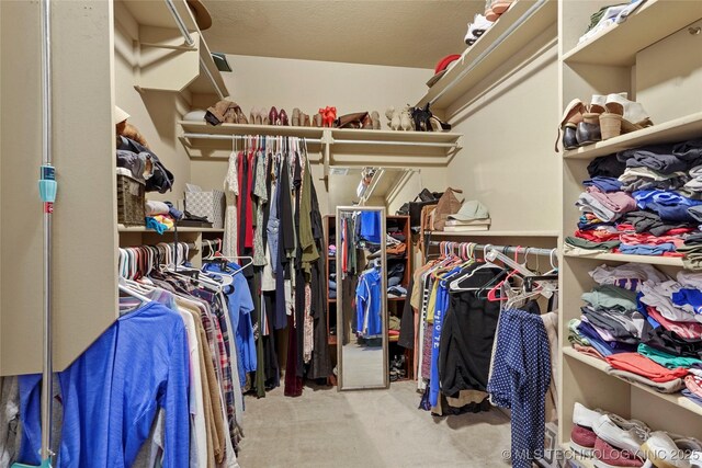 walk in closet with carpet flooring