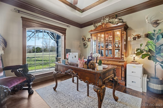 office space featuring crown molding and dark wood-style flooring