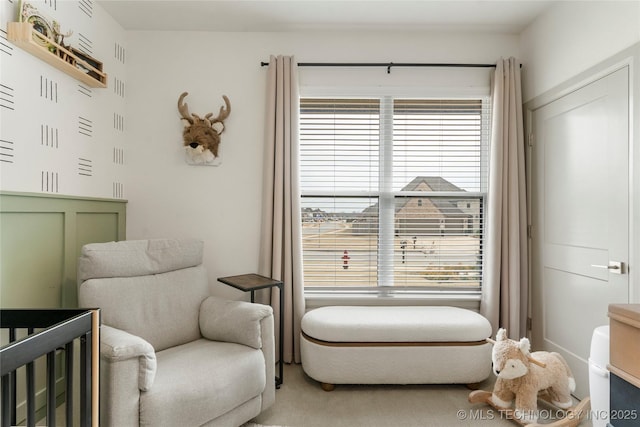 bedroom with a crib and carpet flooring