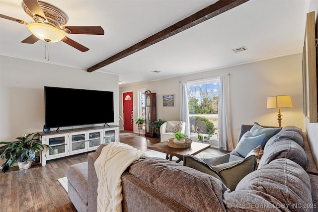 living room featuring a ceiling fan, wood finished floors, visible vents, beam ceiling, and ornamental molding