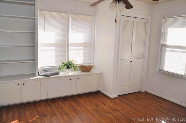 interior space featuring dark wood-style floors, baseboards, and a closet