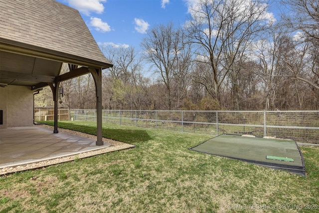 view of yard with a patio area and a fenced backyard