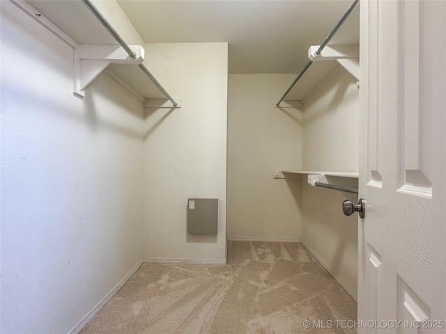 spacious closet with carpet flooring