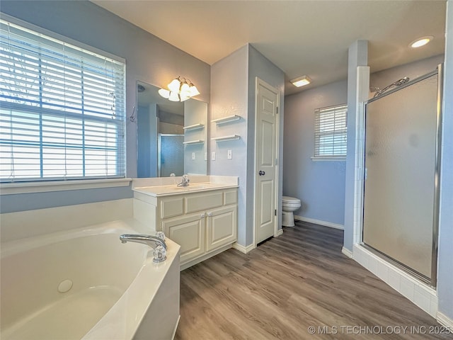 full bathroom with plenty of natural light, a garden tub, vanity, and a shower stall