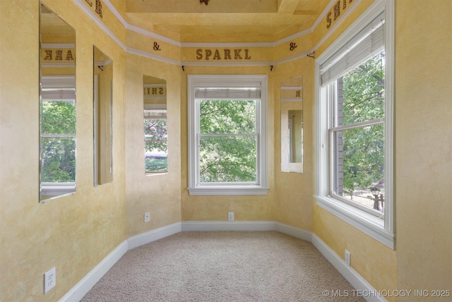 spare room featuring baseboards and carpet