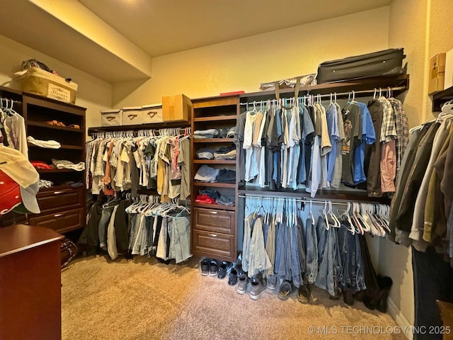 walk in closet with carpet floors