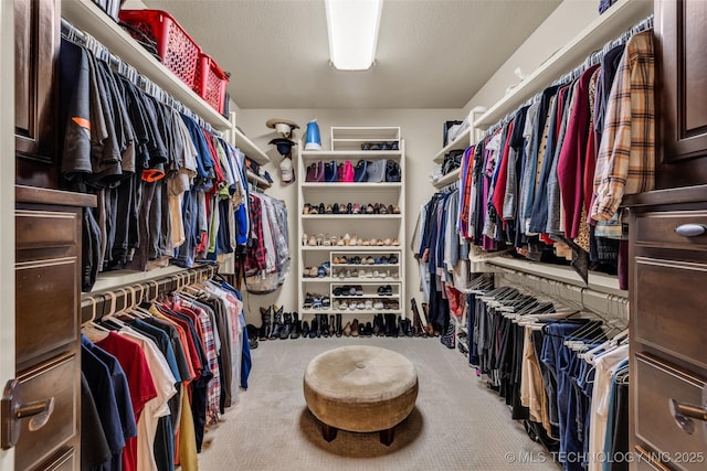 walk in closet with carpet flooring