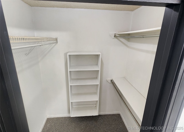 305 E 48th Pl, Sand Springs, OK 74063 - spacious closet featuring dark carpet