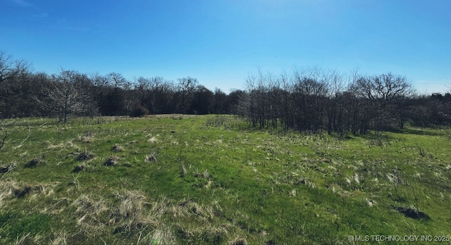 020 Haworth, Durant, OK 74701 - view of nature