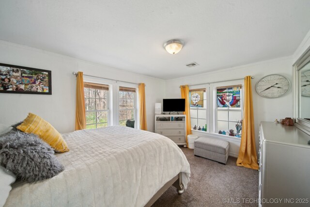 302 W 4th St, Skiatook, OK 74070 - bedroom with visible vents and carpet floors