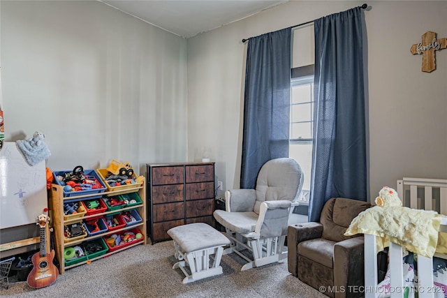 bedroom with carpet flooring