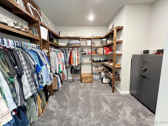 11457 N 510th Rd, Tahlequah, OK 74464 - spacious closet featuring carpet flooring