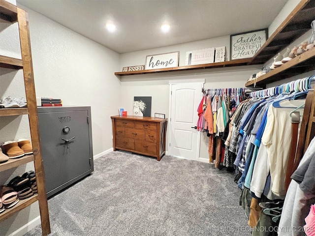 11457 N 510th Rd, Tahlequah, OK 74464 - walk in closet with carpet
