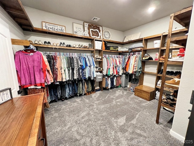 11457 N 510th Rd, Tahlequah, OK 74464 - spacious closet with carpet floors