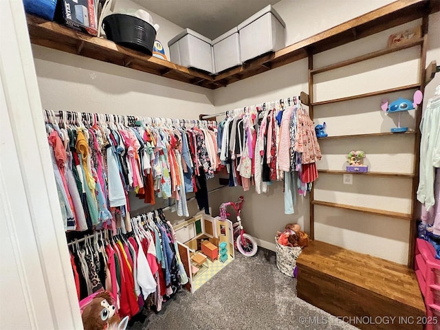 11457 N 510th Rd, Tahlequah, OK 74464 - view of spacious closet