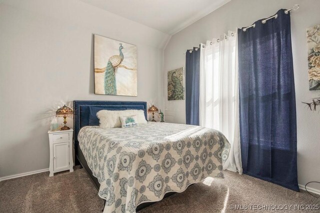 bedroom with baseboards and carpet floors