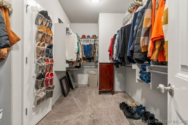 walk in closet featuring light colored carpet