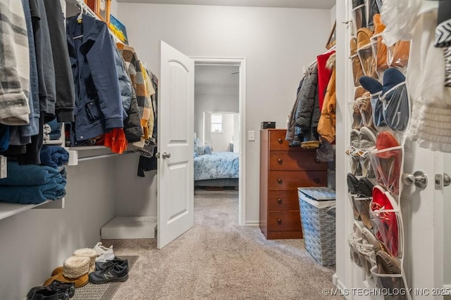 spacious closet with carpet flooring