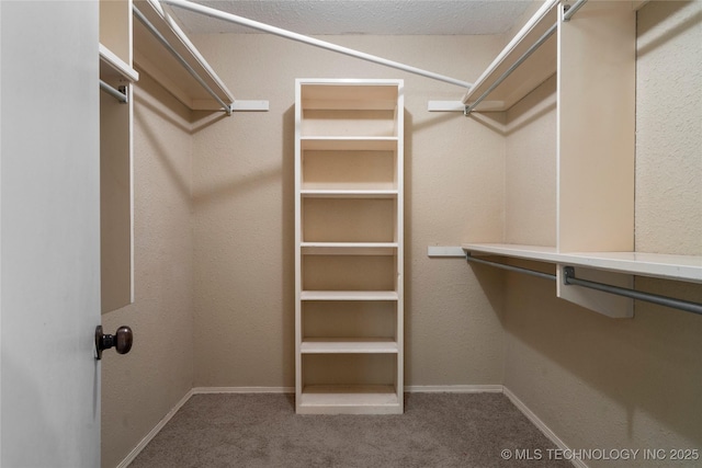 6505 S Oswego Ave, Tulsa, OK 74136 - walk in closet featuring carpet