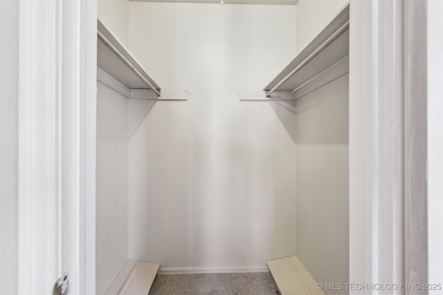 walk in closet with carpet