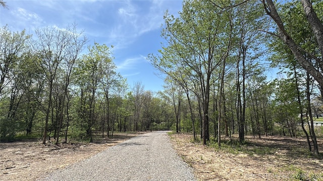 17022 S 579th Rd, Tahlequah, OK 74464 - view of street featuring a view of trees