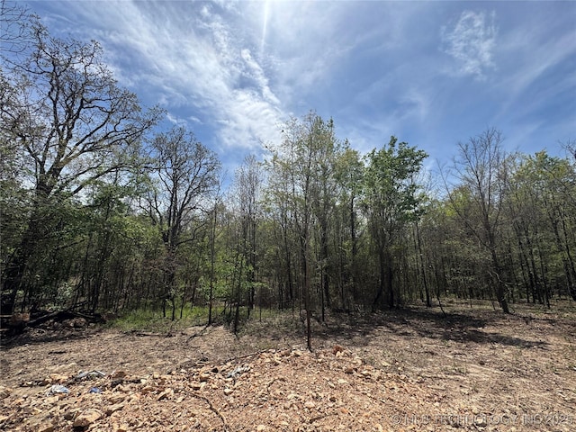 17022 S 579th Rd, Tahlequah, OK 74464 - view of tree filled area