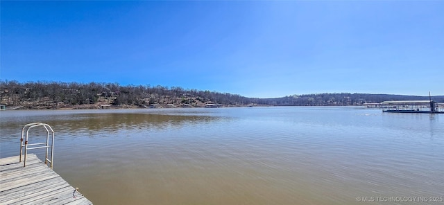 dock area with a water view