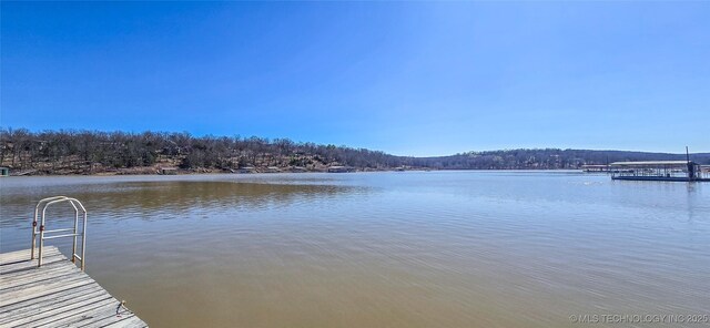 354 Rock Creek Dr, Canadian, OK 74425 - photo 53