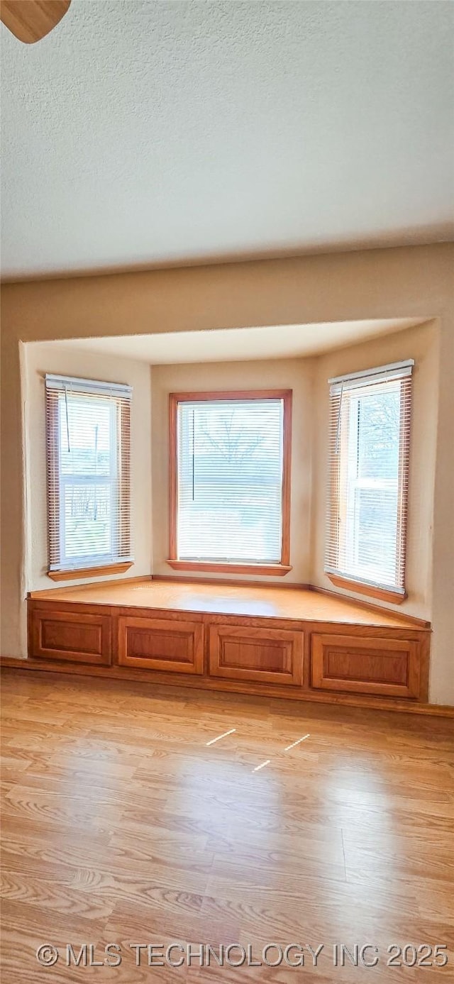 spare room with light wood-style flooring and a textured ceiling