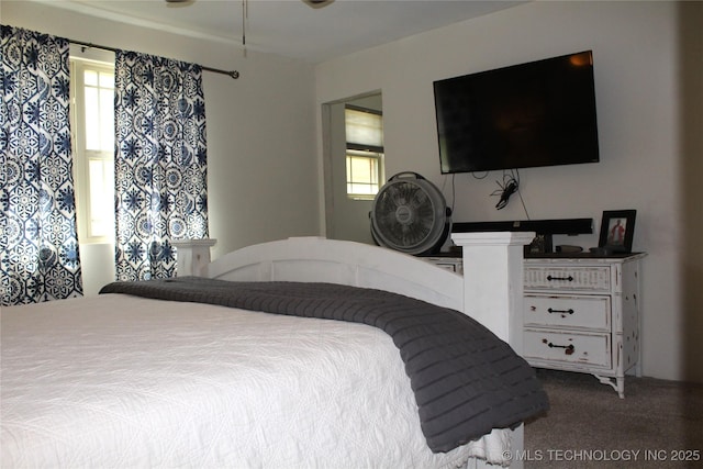 bedroom featuring carpet floors