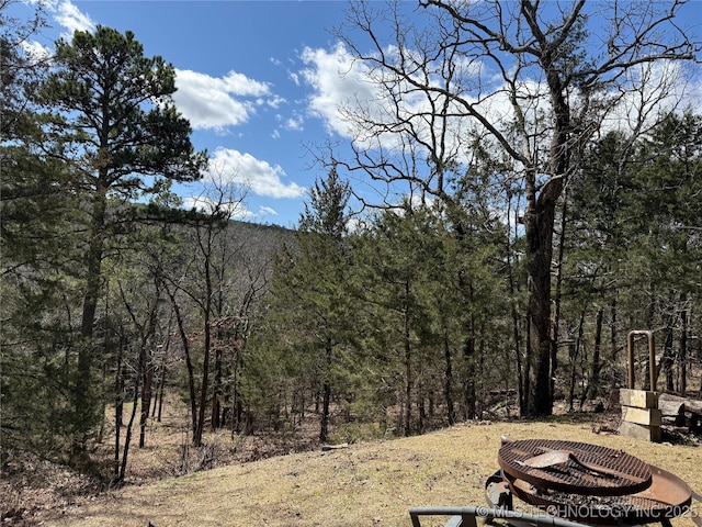 view of yard featuring a view of trees and an outdoor fire pit