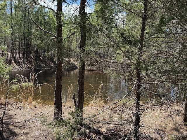 view of local wilderness featuring a forest view and a water view