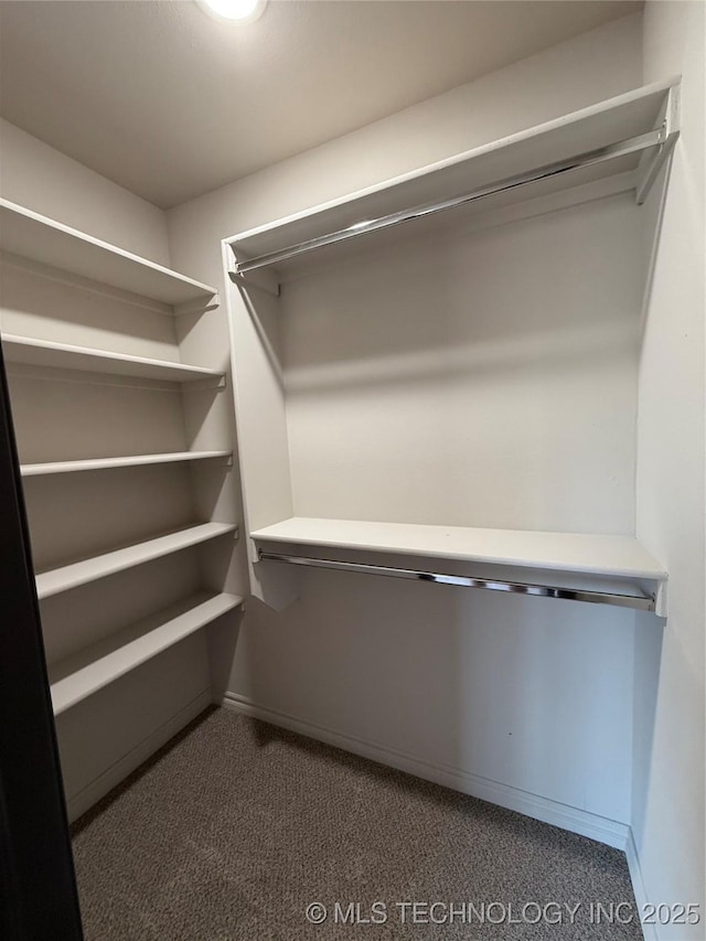 1103 S Chickasaw Pl, Claremore, OK 74017 - spacious closet with dark colored carpet