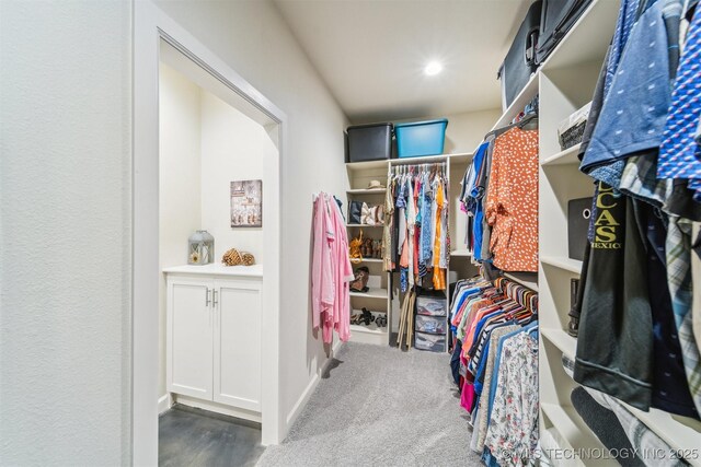 11210 W 178th St, Skiatook, OK 74070 - walk in closet featuring carpet flooring